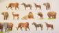 Preview: Design Washi Tape Animals